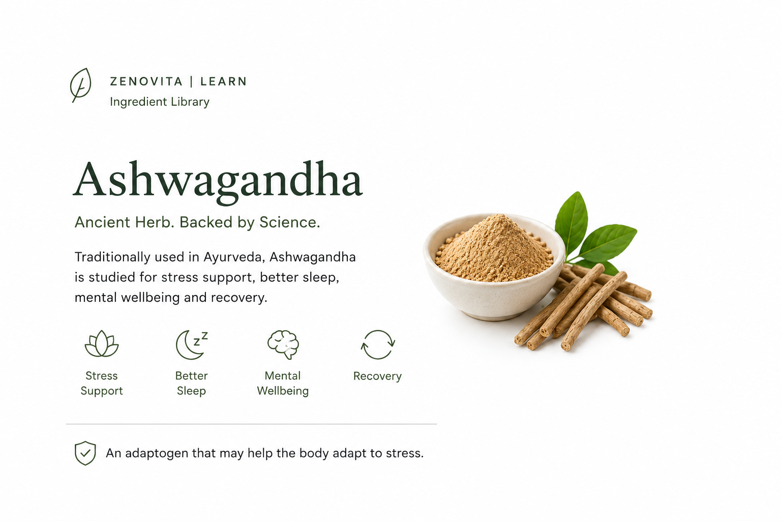 Ashwagandha: Beyond Stress Support