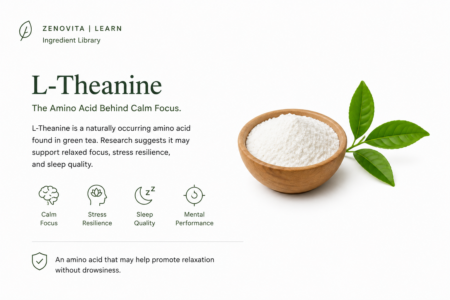 L-Theanine: The Amino Acid Behind Calm Focus
