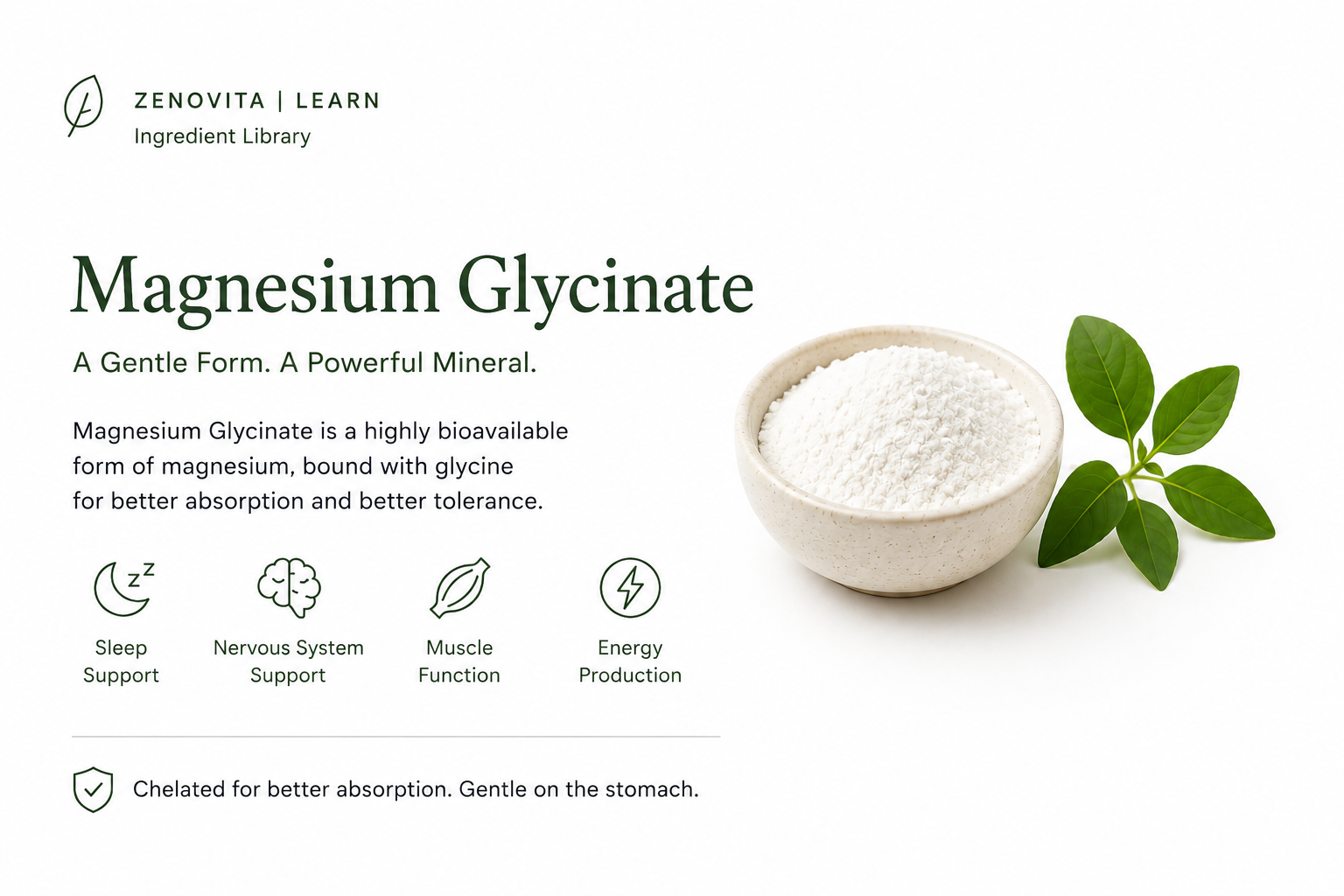 Magnesium Glycinate: A Highly Bioavailable Mineral