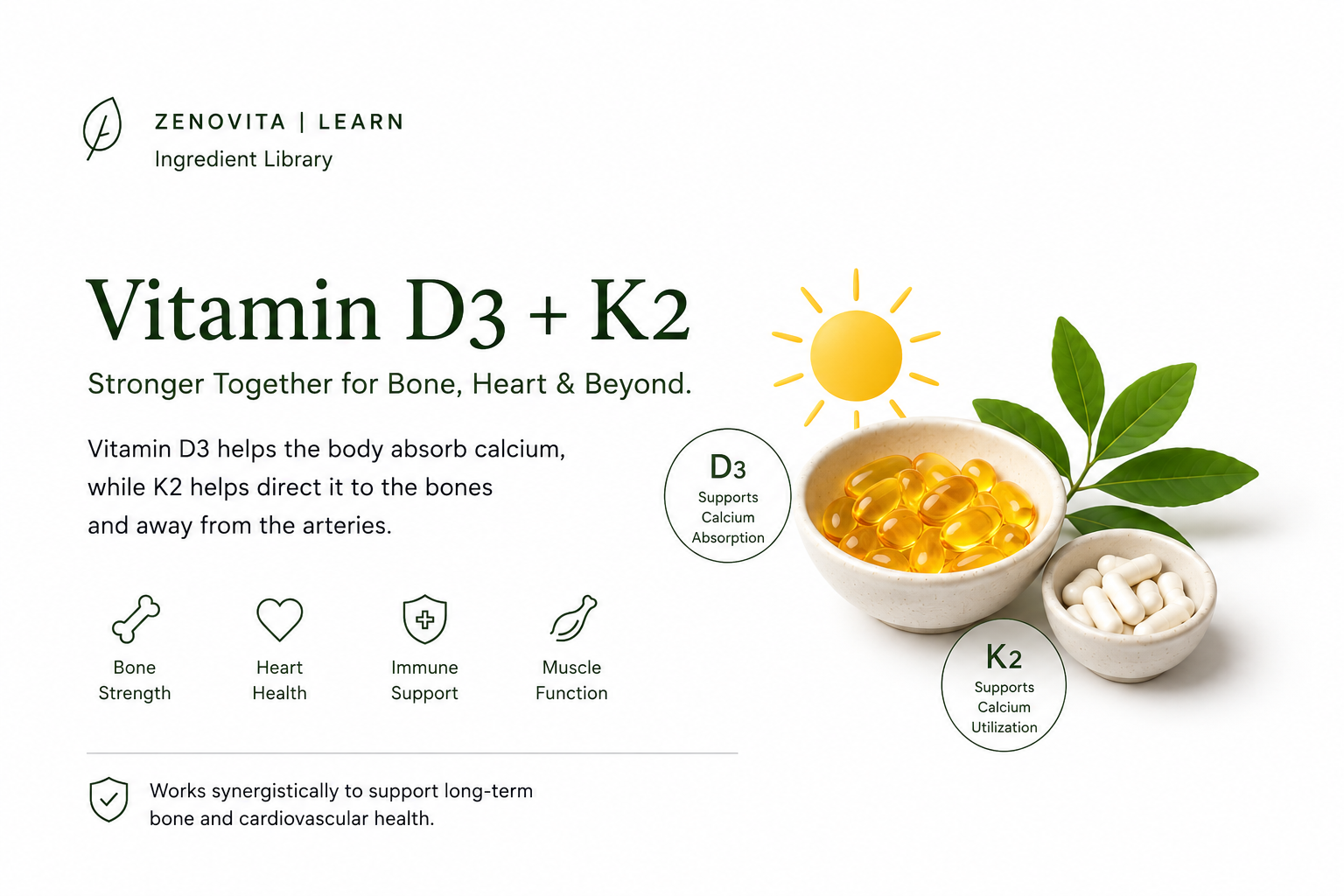 Vitamin D3 + K2: Two Nutrients That Work Better Together